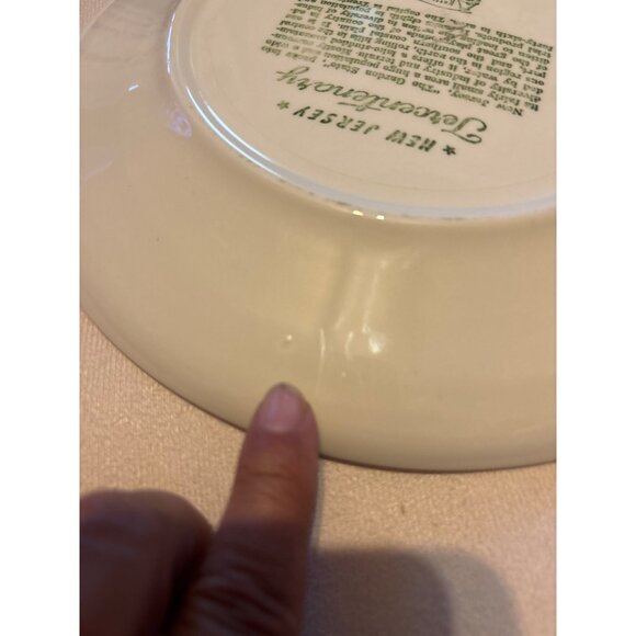 New Jersey Tercentenary 1964 Commemorative Plate Ceramic 10” Vtg 1192-S Collect. - Picture 4 of 6